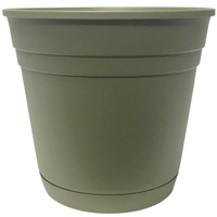6" Rolled Rim Saucer Planter Grn