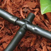 Rainbird Barbed Tees 1/4" 10pk