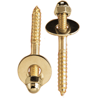Pp Toilet Screw Set 1/4"-20