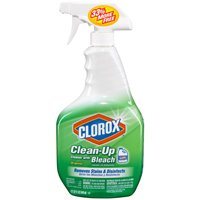 Clorox Clean-up Spry 32oz