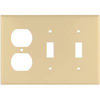 Wallplate 2-toggle Recpt 3g