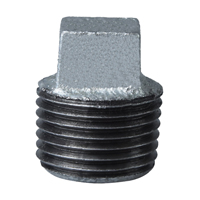Ps Plug 1/2" Galv