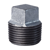 Ps Plug Malleable 3/4" Galv