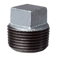Ps Plug 1" Galv