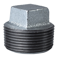 Ps Plug Malleable 1.25" Galv