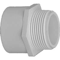 Adapter Sxmpt 3/4" Sch40