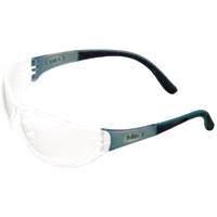 Sw Safety Glasses Arctic Elite