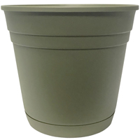 12" Sp Rolled Rim Planter Grn