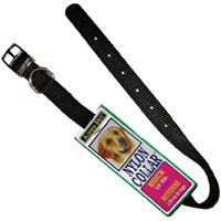Nyln Black Collar 12"x5/8"