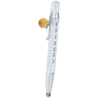 Thermometr Candy+fry