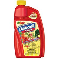 Daconil Fungicide Lqd 16oz Btl