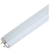 Feit T12 Tube 40w 48" Daylight