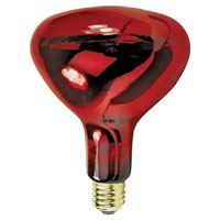 250w R40 Reflector Infrd Red