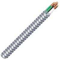Sw Cable Armored Metal 12/2 25'