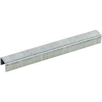 Bostitch Staples 9/16"